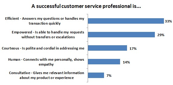 A successful customer service professional